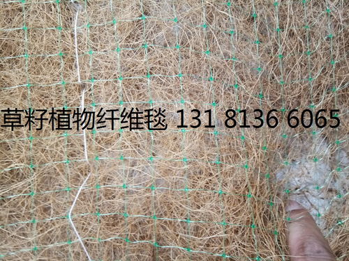 椰絲毯 綠化椰絲毯 植物纖維毯 環保草毯